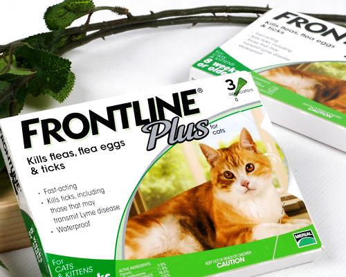 Flynn drops-a good helper for pet deworming