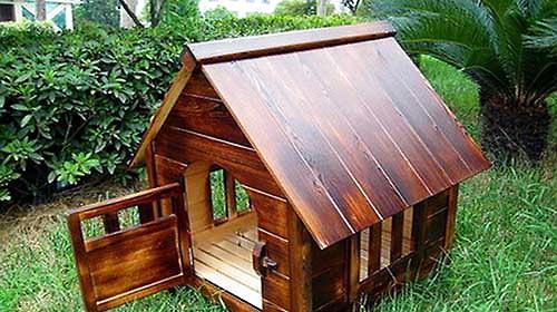 How to make your own kennel at home, and how to make your own kennel.