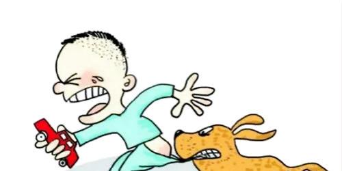 How to prevent children from being bitten by dogs?