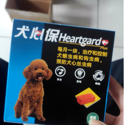 How to prevent heartworm? Dog heart care details control