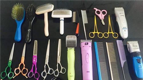 Introduction of grooming tools for pet dogs