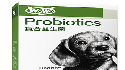 Know how to properly supplement probiotics to dogs to help them avoid gastrointestinal discomfort.