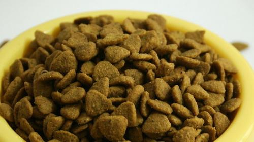 What are the characteristics of good dog food?