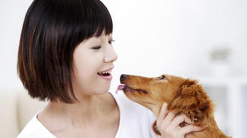 What is the effect of dog contact?